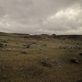 Hay in the fields.jpg