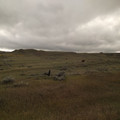 Hill country.jpg