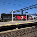 CNDX 6694.jpg