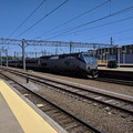Shore Line East arrives.jpg