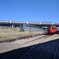 Coast Starlight disappears.jpg