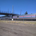 Coast Starlight passes.jpg