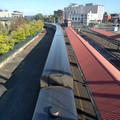 Long line of Superliners.jpg