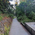 Looking north from Holmes Hall.jpg