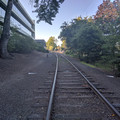 Looking north from Willamette Park.jpg