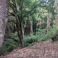Not a nature park.jpg