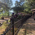 Oaks Park train.jpg