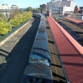 Two diesels on the Coast Starlight.jpg