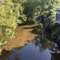 Hay Creek.jpg