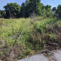 Hidden rails.jpg