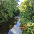Looking north at Hay Creek.jpg