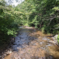 Muddy bottom.jpg