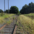 Old yard.jpg
