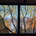 Glass painting.jpg