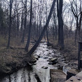 Capoolong Creek.jpg