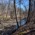 Creek through the woods.jpg