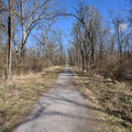 The old Clinton branch.jpg