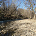 Rocky beach.jpg