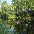 Reflections.jpg