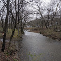 Bushkill Creek.jpg