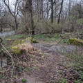 Overgrown bridge.jpg