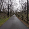 Wet road.jpg