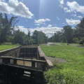 At the canal.jpg