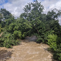 Bushkill at Buck.jpg