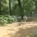 Creek and Trail.jpg