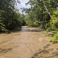 East from the pedestrian bridge.jpg
