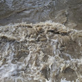 Froth.jpg