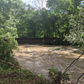 Low bridge.jpg