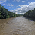 Muddy Lehigh.jpg