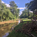 Muddy canal.jpg