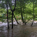 On the Bushkill.jpg
