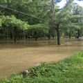 Penn Pump Park.jpg