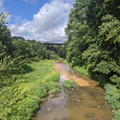 Runoff at the lock.jpg