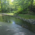 Runoff from US-22.jpg