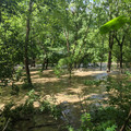 See the bridge.jpg