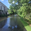 Watery path.jpg