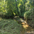 I think this was the trail.jpg