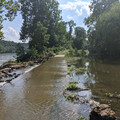Wet path.jpg