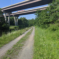 Whose road.jpg