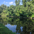 Reflections in the canal.jpg