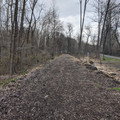 Old right-of-way.jpg
