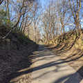 25th Street branch.jpg