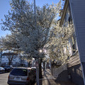 Splash of white.jpg