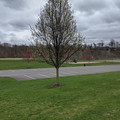 Mill Race Park.jpg