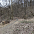 Old right-of-way.jpg
