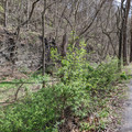 Railroad, canal bed, and trail.jpg